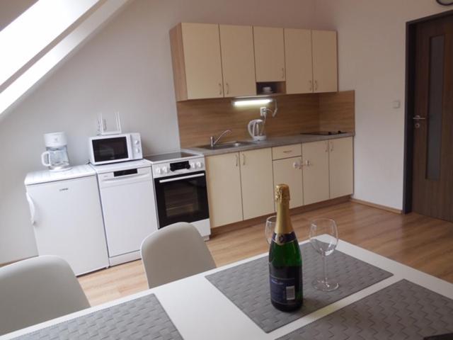 Apartman Kamenice Kamenice nad Lipou Εξωτερικό φωτογραφία